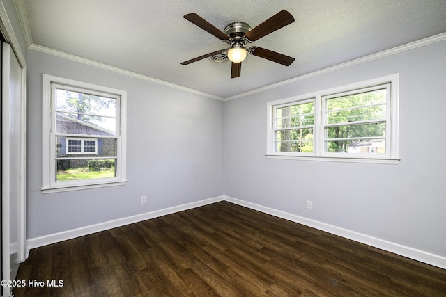 429 Swiss Rd, New Bern, NC 28560 - empty room featuring plenty of natural light, dark wood-style flooring, baseboards, crown molding, and a textured ceiling