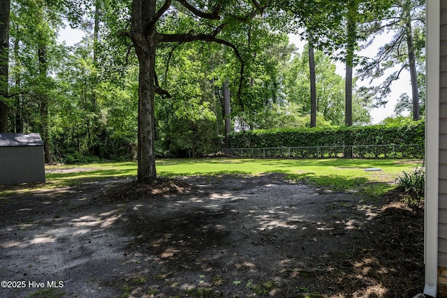 429 Swiss Rd, New Bern, NC 28560 - view of yard