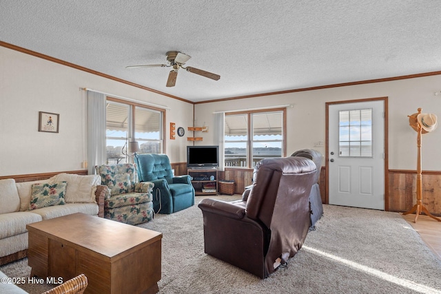 241 Moonlight Dr, Atlantic Beach, NC 28512 - living room with a wainscoted wall, a ceiling fan, crown molding, plenty of natural light, and a textured ceiling