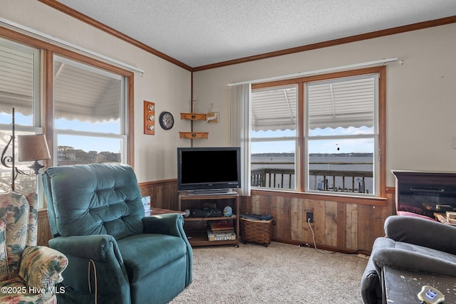 241 Moonlight Dr, Atlantic Beach, NC 28512 - carpeted living area with wood walls, a wainscoted wall, ornamental molding, and a textured ceiling