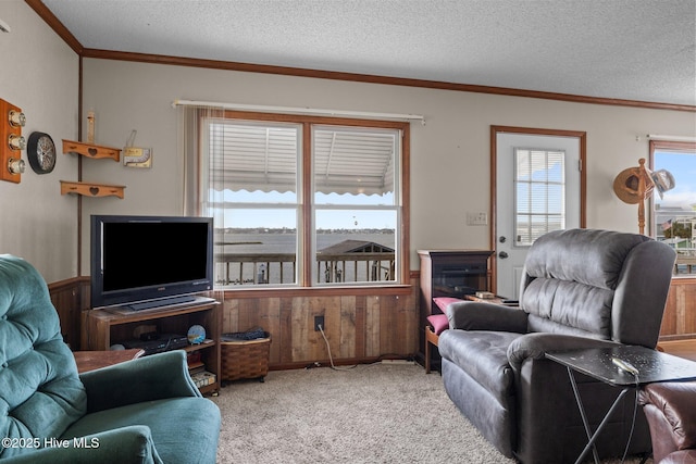 241 Moonlight Dr, Atlantic Beach, NC 28512 - carpeted living room featuring wooden walls, a wainscoted wall, ornamental molding, and a textured ceiling