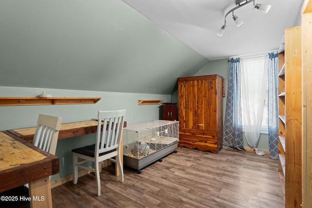 710 Ridgecrest Ln, Rocky Point, NC 28457 - bedroom with lofted ceiling, wood finished floors, and track lighting