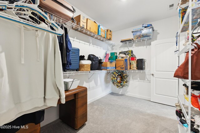 438 Sugar Cove Run, Wilmington, NC 28411 - walk in closet featuring carpet