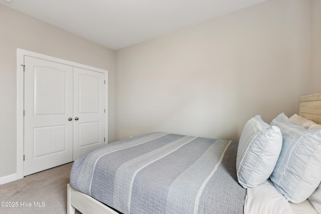 438 Sugar Cove Run, Wilmington, NC 28411 - bedroom with carpet flooring and a closet