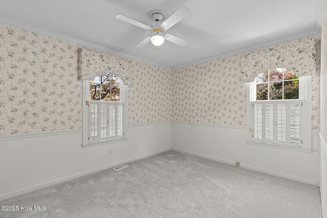 1205 Logan Ct, Jacksonville, NC 28540 - carpeted spare room featuring crown molding, ceiling fan, healthy amount of natural light, a textured ceiling, and wallpapered walls