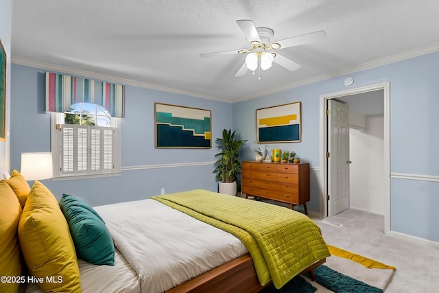 1205 Logan Ct, Jacksonville, NC 28540 - bedroom featuring crown molding, carpet, baseboards, and a ceiling fan