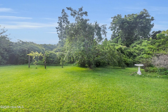 208 Buck Ln, Vanceboro, NC 28586 - view of green lawn