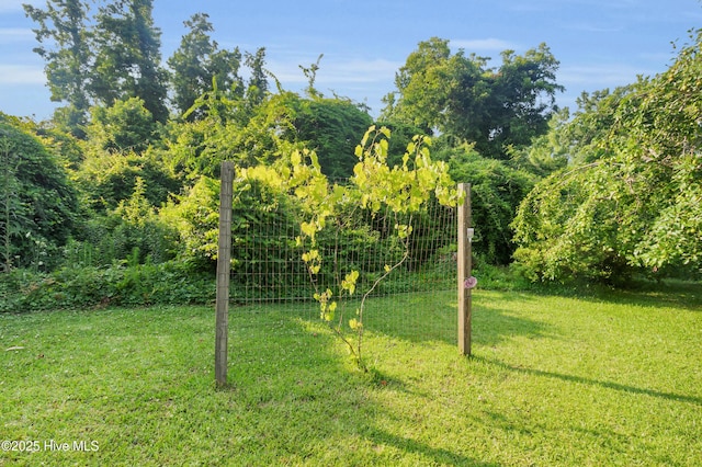 208 Buck Ln, Vanceboro, NC 28586 - view of grassy yard