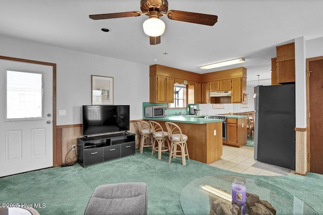 308 N Shore Dr E, Sunset Beach, NC 28468 - kitchen featuring appliances with stainless steel finishes, a peninsula, brown cabinetry, under cabinet range hood, and ceiling fan
