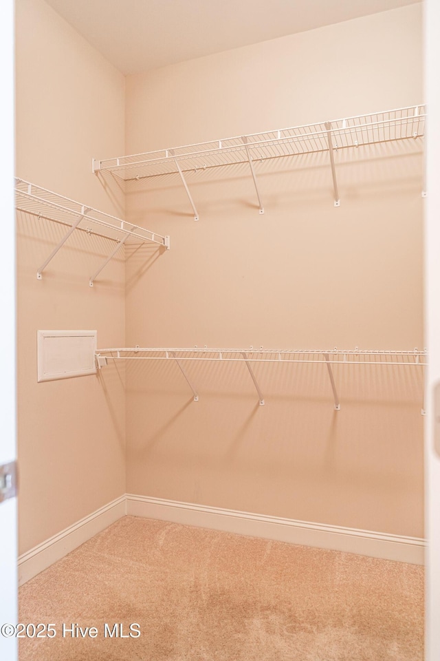 600 Booth Pond Rd, Raeford, NC 28376 - walk in closet featuring carpet