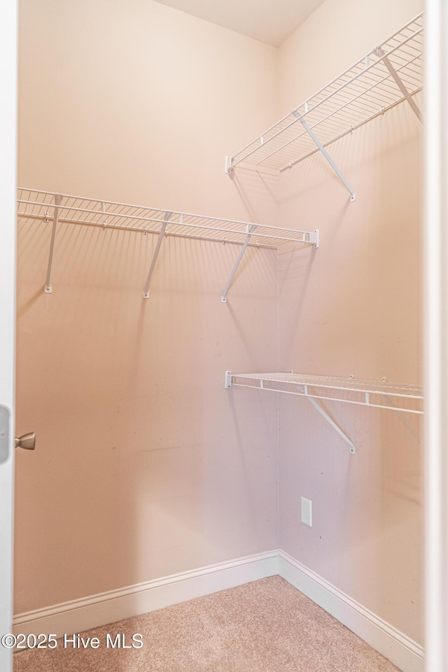 600 Booth Pond Rd, Raeford, NC 28376 - walk in closet with carpet floors