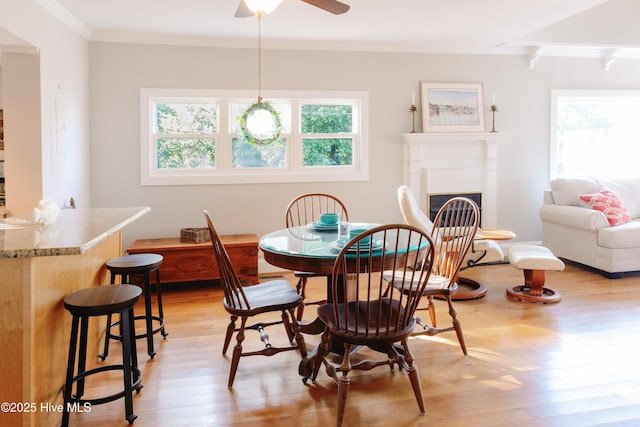 1498 Bayview Rd, Bath, NC 27808 - dining room with crown molding, light wood finished floors, ceiling fan, and a fireplace
