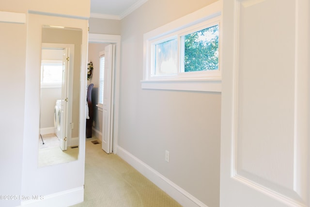 1498 Bayview Rd, Bath, NC 27808 - hallway with crown molding, plenty of natural light, washer / dryer, light carpet, and baseboards