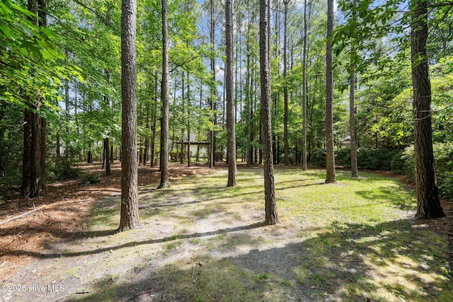 6304 Wolfhead Ct, Wilmington, NC 28411 - view of yard