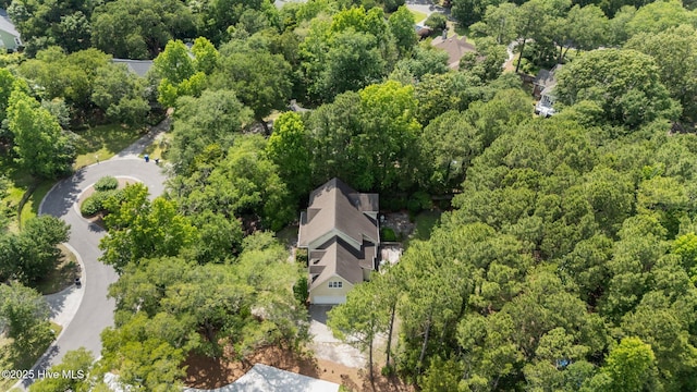 6304 Wolfhead Ct, Wilmington, NC 28411 - view of property location featuring a forest