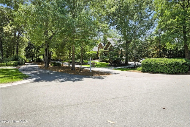1501 Meridian Ter, Wilmington, NC 28411 - view of asphalt street with street lighting