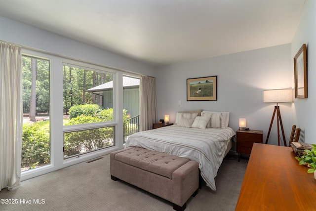 185 Ponte Vedra Dr, Pinehurst, NC 28374 - bedroom featuring carpet floors