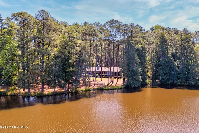 185 Ponte Vedra Dr, Pinehurst, NC 28374 - water view featuring a heavily wooded area