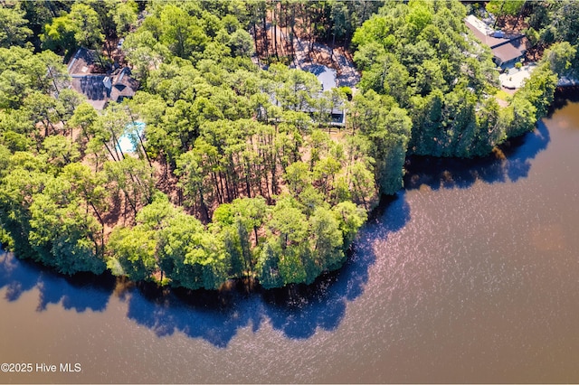 185 Ponte Vedra Dr, Pinehurst, NC 28374 - bird's eye view of a forest