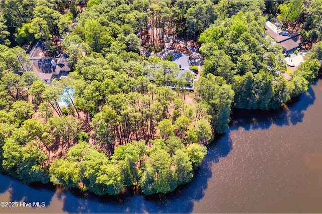 185 Ponte Vedra Dr, Pinehurst, NC 28374 - aerial view of a forest