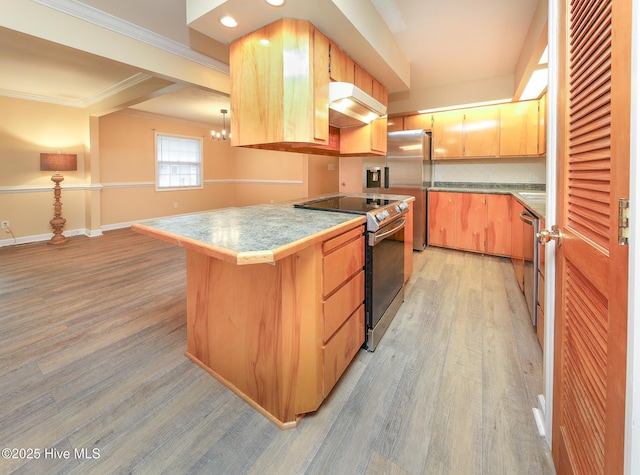 1710 Aydlett Cir, Elizabeth City, NC 27909 - kitchen featuring appliances with stainless steel finishes, under cabinet range hood, light wood-type flooring, crown molding, and recessed lighting