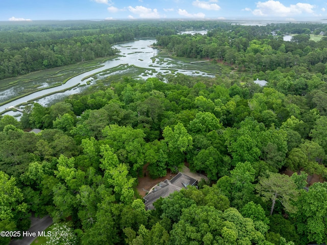 1012 Creekside Ln, Wilmington, NC 28411 - view of property location featuring a nearby body of water and a forest