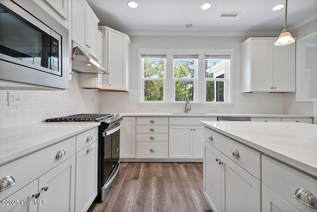 3200 Laughing Gull Ter, Wilmington, NC 28412 - kitchen featuring appliances with stainless steel finishes, under cabinet range hood, white cabinets, light countertops, and recessed lighting