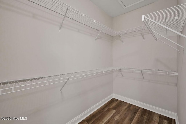 3200 Laughing Gull Ter, Wilmington, NC 28412 - walk in closet featuring dark wood-type flooring