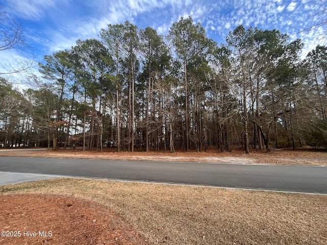 264 Red Fox Run Dr, Wallace, NC 28466