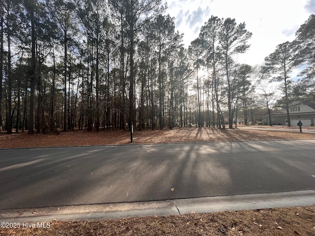 264 Red Fox Run Dr, Wallace, NC 28466