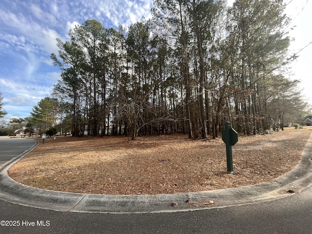 264 Red Fox Run Dr, Wallace, NC 28466