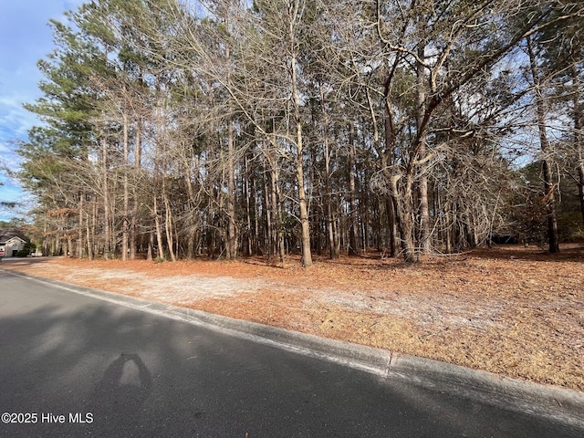264 Red Fox Run Dr, Wallace, NC 28466