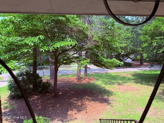430 W Rhode Island Ave, Southern Pines, NC 28387 - view of green lawn