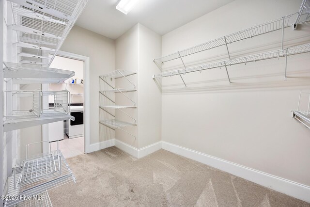 103 Schever Rd, West End, NC 27376 - spacious closet with carpet flooring
