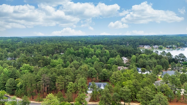 103 Schever Rd, West End, NC 27376 - drone / aerial view of a forest and a large body of water
