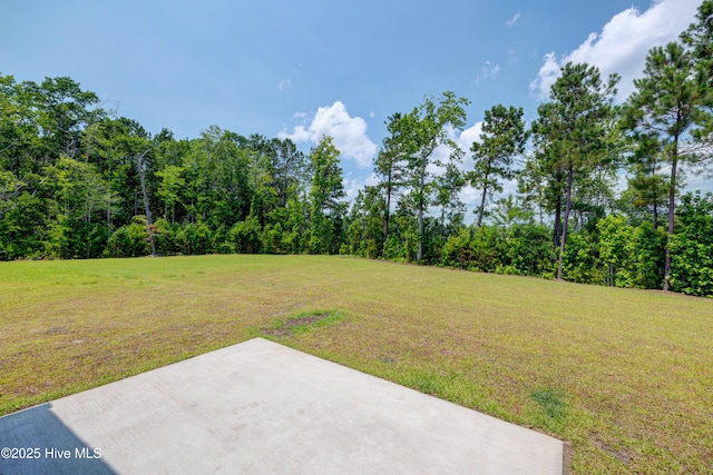 1337 Fence Post Ln, Carolina Shores, NC 28467 - view of grassy yard with a patio and a wooded view