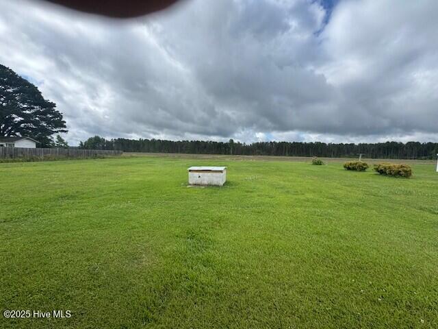 214 NC Highway 561 E, Ahoskie, NC 27910 - view of green lawn