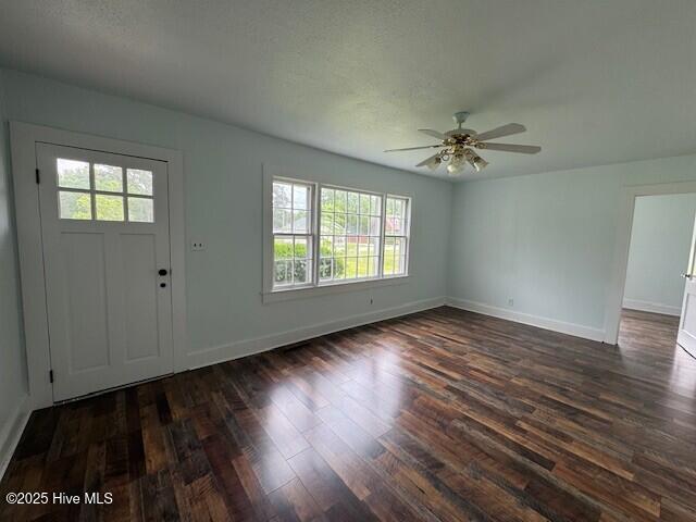 214 NC Highway 561 E, Ahoskie, NC 27910 - entrance foyer with plenty of natural light, dark wood finished floors, and baseboards