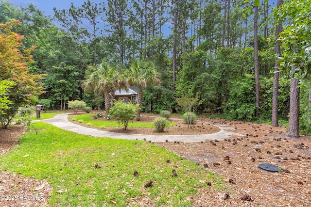 1120 Beasley Rd, Wilmington, NC 28409 - view of green lawn