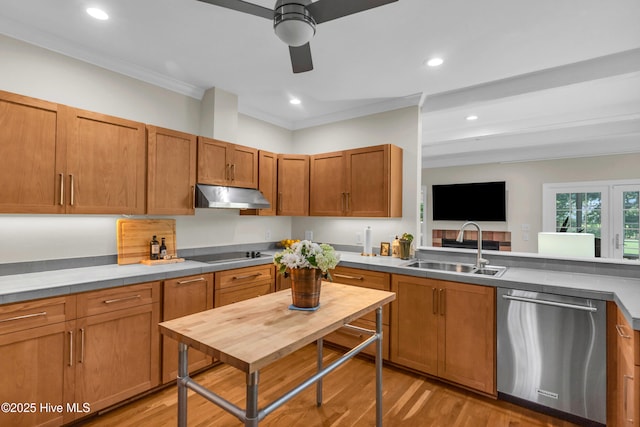 505 Rivage Promenade, Wilmington, NC 28412 - kitchen with dishwasher, under cabinet range hood, black electric cooktop, ceiling fan, and ornamental molding