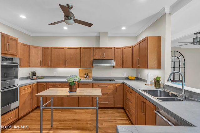 505 Rivage Promenade, Wilmington, NC 28412 - kitchen featuring a ceiling fan, appliances with stainless steel finishes, under cabinet range hood, ornamental molding, and light wood-style flooring