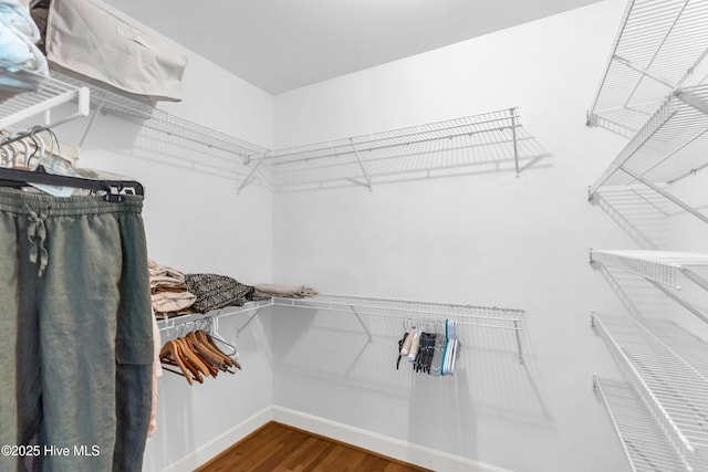 505 Rivage Promenade, Wilmington, NC 28412 - spacious closet with wood finished floors