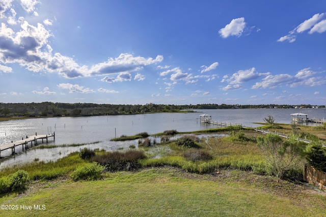 232 Shell Dr, Sneads Ferry, NC 28460 - dock featuring a water view