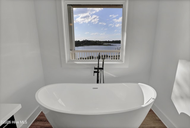 232 Shell Dr, Sneads Ferry, NC 28460 - detailed view of baseboards, a soaking tub, and wood finished floors