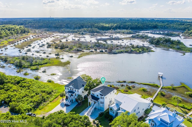 232 Shell Dr, Sneads Ferry, NC 28460 - bird's eye view of a large body of water and a heavily wooded area