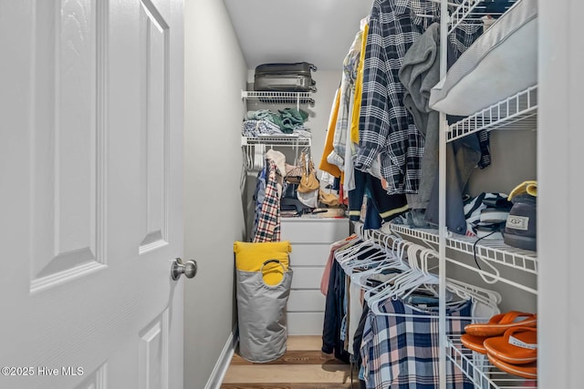 527 Everett Glades, Sneads Ferry, NC 28460 - spacious closet featuring wood finished floors