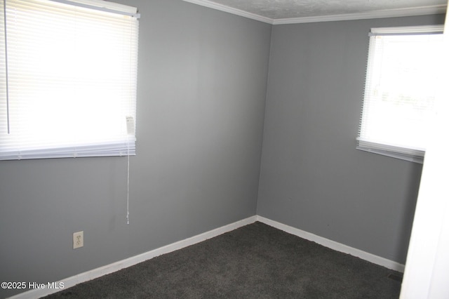 1819 Thirteen Bridges Rd, Enfield, NC 27823 - spare room featuring ornamental molding, baseboards, and dark colored carpet