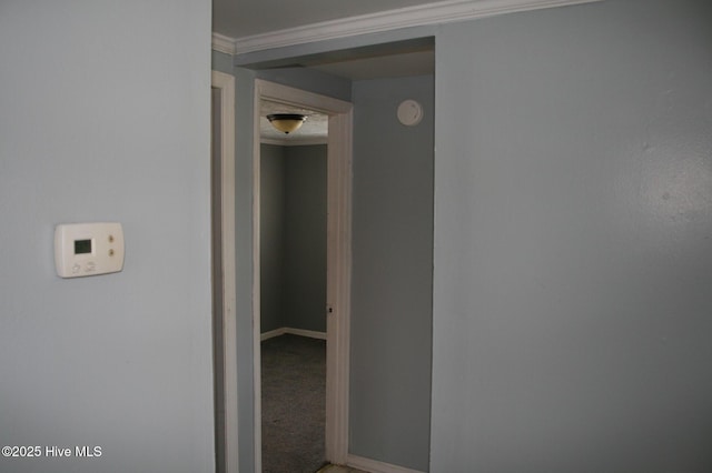 1819 Thirteen Bridges Rd, Enfield, NC 27823 - hallway with crown molding and baseboards