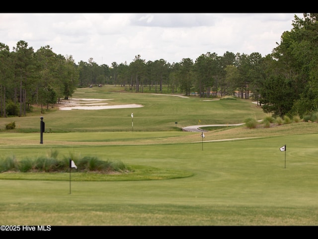 2385 Red Birch Trl NE, Leland, NC 28451 - view of home's community featuring a putting area and view of golf course