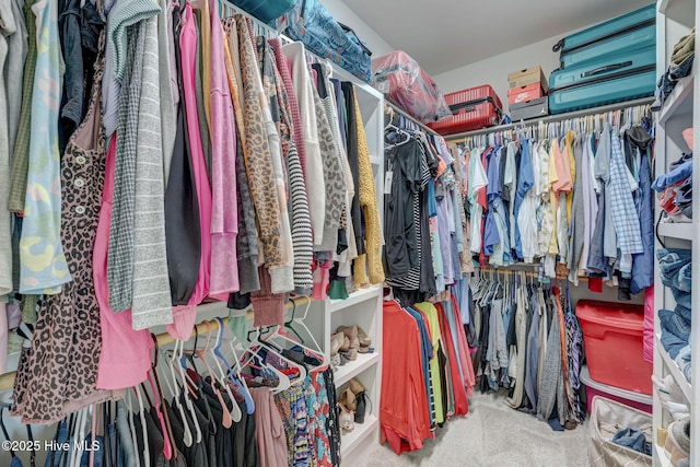 5920 Appomattox Dr, Wilmington, NC 28409 - spacious closet with carpet flooring